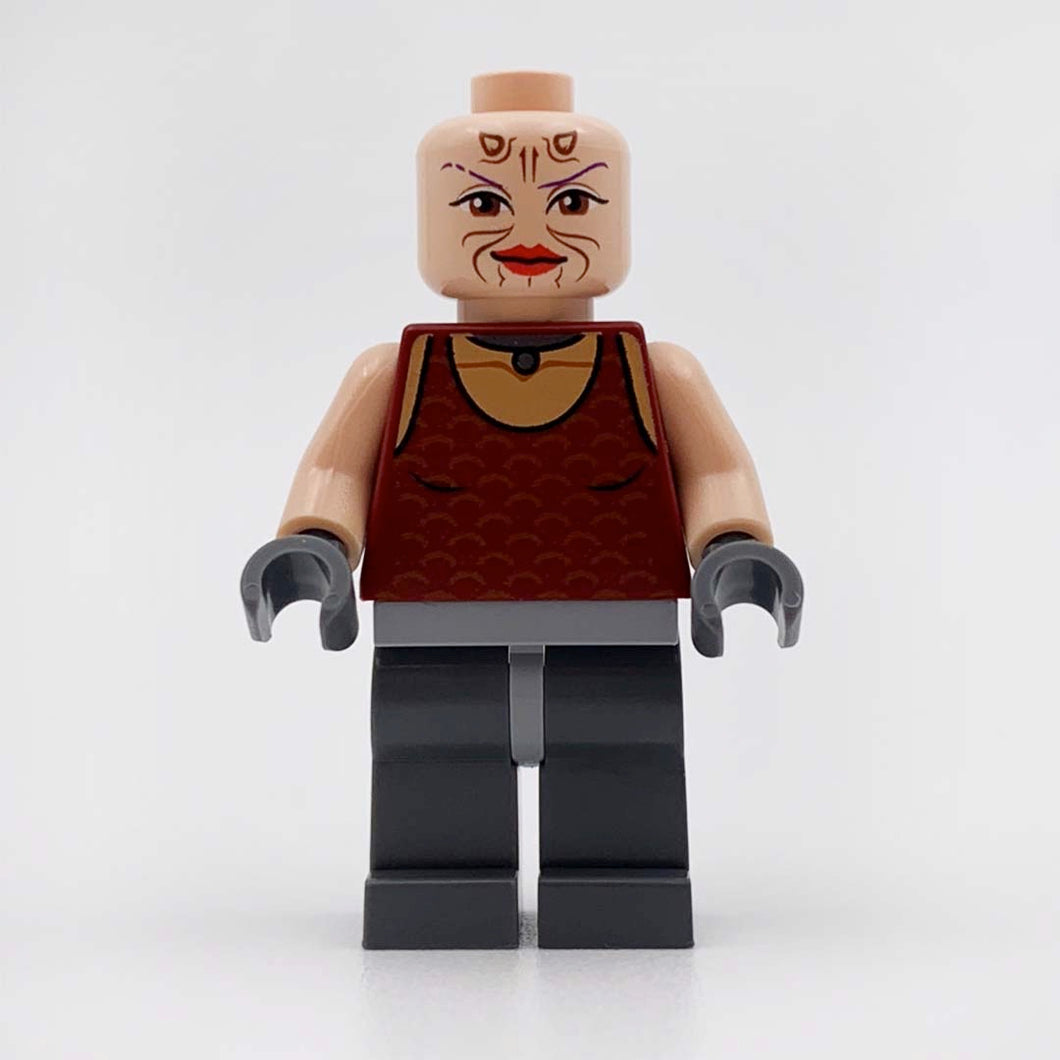 LEGO Sugi Minifigure [CW]